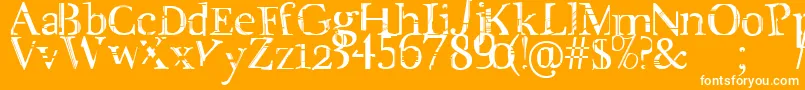 CityLife Font – White Fonts on Orange Background