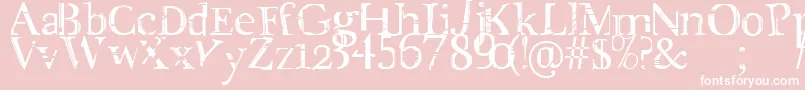 CityLife Font – White Fonts on Pink Background