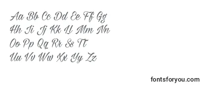 Review of the Milasianmediumpersonal Font