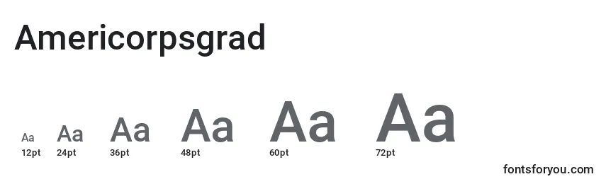 Размеры шрифта Americorpsgrad