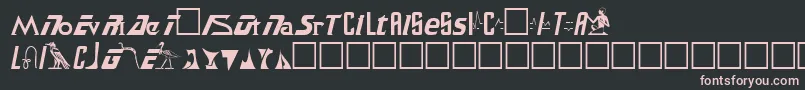 SafariPlain Font – Pink Fonts on Black Background