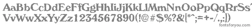 VeronarandomBold-fontti – harmaat kirjasimet valkoisella taustalla