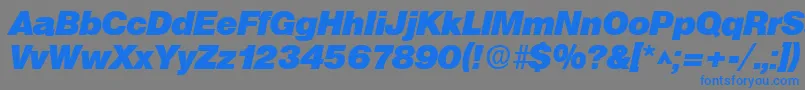 フォントSanslhBoldItalic – 灰色の背景に青い文字
