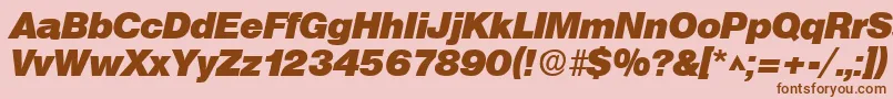 SanslhBoldItalic Font – Brown Fonts on Pink Background