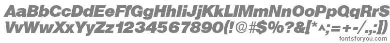 フォントSanslhBoldItalic – 白い背景に灰色の文字