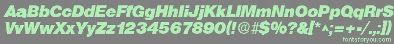 SanslhBoldItalic-Schriftart – Grüne Schriften auf grauem Hintergrund