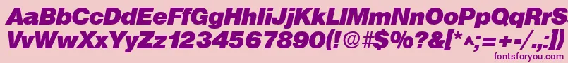 SanslhBoldItalic-Schriftart – Violette Schriften auf rosa Hintergrund