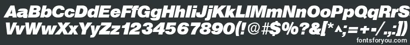 SanslhBoldItalic Font – White Fonts