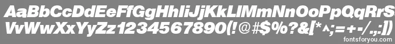 SanslhBoldItalic Font – White Fonts on Gray Background