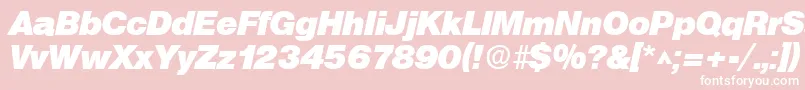 SanslhBoldItalic Font – White Fonts on Pink Background