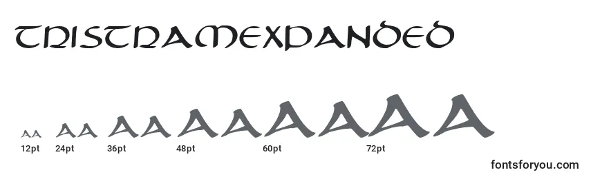Размеры шрифта TristramExpanded