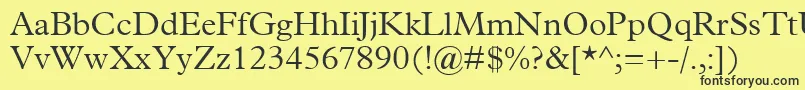 TerminusLightSsiLight Font – Black Fonts on Yellow Background