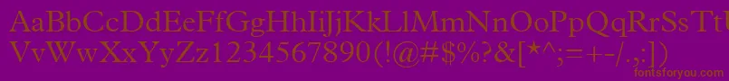 TerminusLightSsiLight Font – Brown Fonts on Purple Background