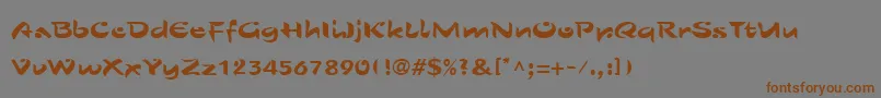ShoLtRoman Font – Brown Fonts on Gray Background