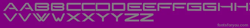 Gonzalessans Font – Gray Fonts on Purple Background