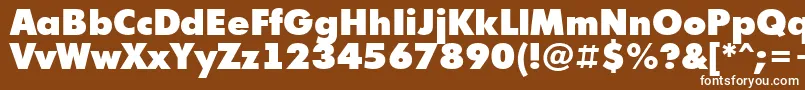 フォントFuturi9 – 茶色の背景に白い文字