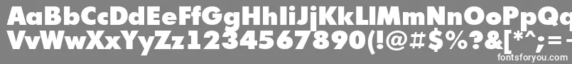 フォントFuturi9 – 灰色の背景に白い文字