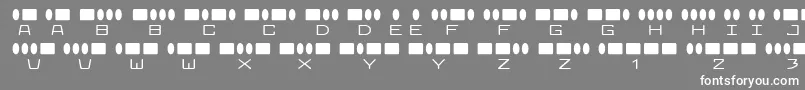 RadiosInMotion-Schriftart – Weiße Schriften auf grauem Hintergrund