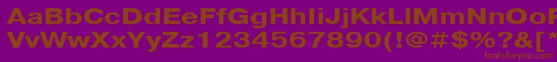 PragmaticacttBold125 Font – Brown Fonts on Purple Background