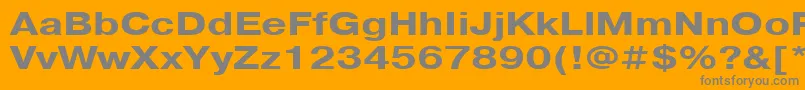 PragmaticacttBold125 Font – Gray Fonts on Orange Background