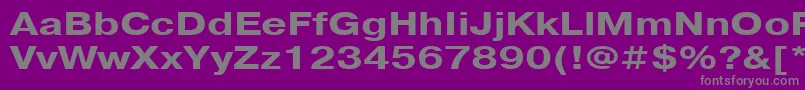 フォントPragmaticacttBold125 – 紫の背景に灰色の文字