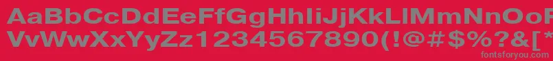 PragmaticacttBold125 Font – Gray Fonts on Red Background