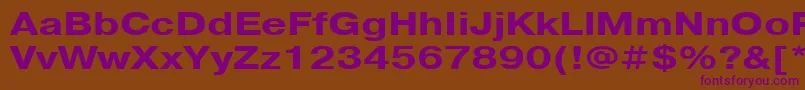 PragmaticacttBold125 Font – Purple Fonts on Brown Background