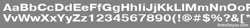 フォントPragmaticacttBold125 – 灰色の背景に白い文字