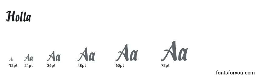 sizes of holla font, holla sizes