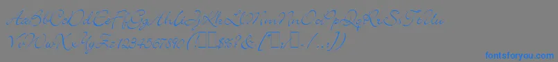 フォントBickleyScriptLetPlain.1.0 – 灰色の背景に青い文字