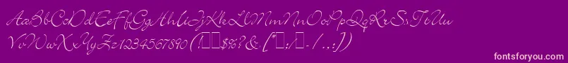 Fonte BickleyScriptLetPlain.1.0 – fontes rosa em um fundo violeta