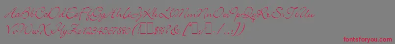 BickleyScriptLetPlain.1.0 Font – Red Fonts on Gray Background