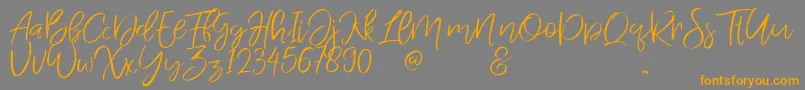 Шрифт JandysDua – оранжевые шрифты на сером фоне