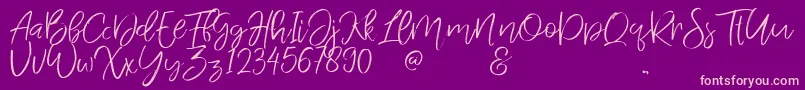 JandysDua Font – Pink Fonts on Purple Background