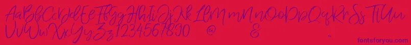 JandysDua Font – Purple Fonts on Red Background