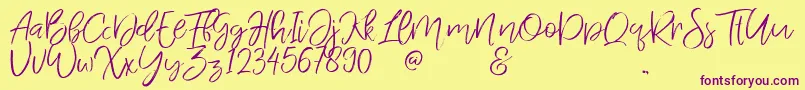 JandysDua Font – Purple Fonts on Yellow Background