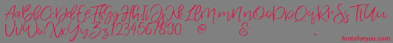 JandysDua Font – Red Fonts on Gray Background