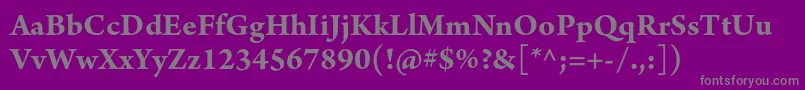 ArnoproBold Font – Gray Fonts on Purple Background