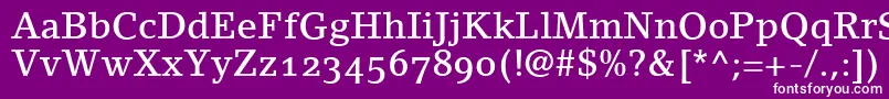 LinoletterMediumOldstyleFigures Font – White Fonts on Purple Background