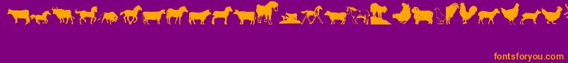 Barnyard Font – Orange Fonts on Purple Background