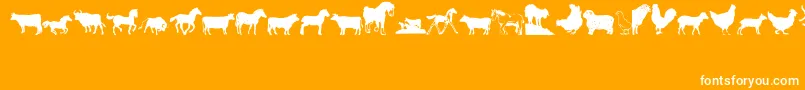 Barnyard Font – White Fonts on Orange Background