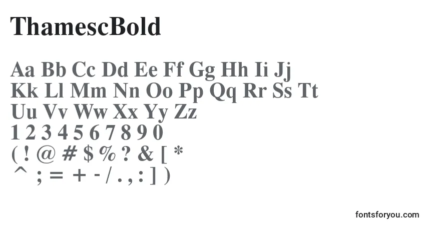A fonte ThamescBold – alfabeto, números, caracteres especiais