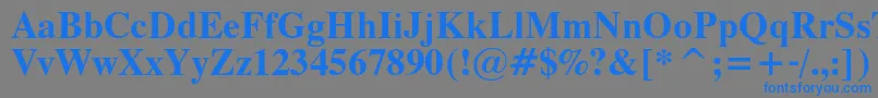 フォントThamescBold – 灰色の背景に青い文字