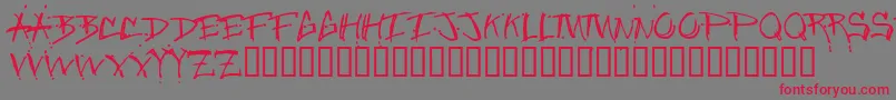 Junglebold Font – Red Fonts on Gray Background