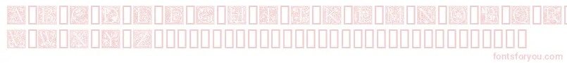 Goudyini Font – Pink Fonts on White Background