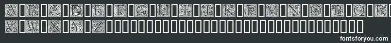 Goudyini Font – White Fonts on Black Background