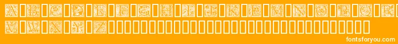 Goudyini-Schriftart – Weiße Schriften auf orangefarbenem Hintergrund