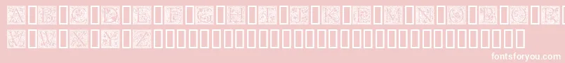 fuente Goudyini – Fuentes Blancas Sobre Fondo Rosa