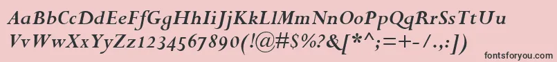 PerpetuaBoldItalicOsf Font – Black Fonts on Pink Background