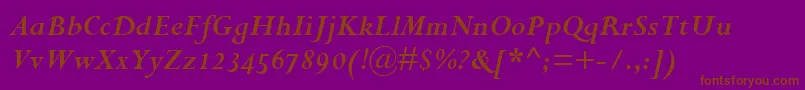 PerpetuaBoldItalicOsf Font – Brown Fonts on Purple Background